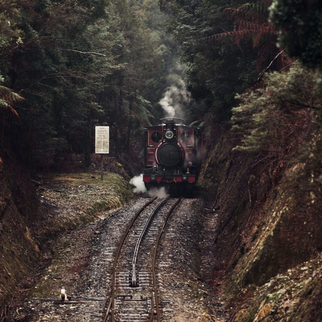 A steam train climbing the Rinadeena saddle with the assistance of the Rack and Pinion. A view of the rack in between the rail line in front of the train, rainforest surrounds and steam pouring from the locomotive's chimney.